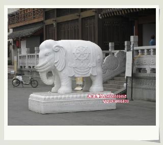 石雕大象   漢白玉石雕大象  鴻景雕塑廠家